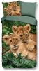 Good Morning Lion Cubs Dekbedovertrek Katoen 1 persoons(140x200/220 Cm + 1 Sloop) Multi online kopen