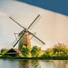 Good Morning Windmill Dekbedovertrek 1 persoons(140x200/220 Cm + 1 Sloop) Katoen Multi online kopen