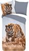 Good Morning Dekbedovertrek TIGER 200x200 cm meerkleurig online kopen