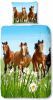 Good Morning Dekbedovertrek 5316 P HORSES 135x200 cm meerkleurig online kopen